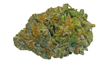 Purple Biscotti - AAAA