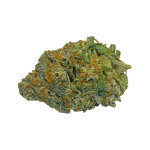Purple Biscotti - AAAA (1/4 LB - 2 LB)