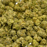 Shishkaberry - Popcorn - Image 2