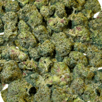 Silver Kush - Popcorn (1/4 LB - 2 LB) - Image 2