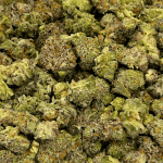 Tropical Runtz - Popcorn (1/4 LB - 2 LB) - Image 2