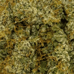 Silver Kush - Craft Cannabis - Image 2