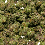 Skittlez - Popcorn - Image 2