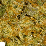 San Fernando Valley - AAAA - Image 2