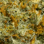 Donkey Butter - AAA (1/4 LB - 2 LB) - Image 2