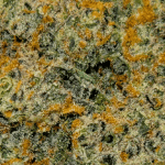 Platinum Cookies - AAAA - Image 2