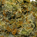 Critical Haze - AAAA - Image 2