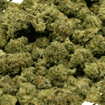 Ghost OG - Popcorn - Image 2