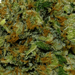 Hindu Kush - AAAA - Image 2