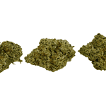 Donkey Butter - Craft Cannabis (1/4 LB - 1 LB) - Image 3