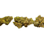 Critical Haze - AAAA (1/4 LB - 2 LB) - Image 3