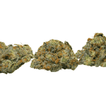 Critical Haze - AAAA - Image 3