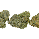 Mendo Breath - Craft Cannabis - Image 3