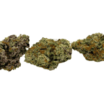 Skittlez - AAAA (1/4 LB - 2 LB) - Image 3