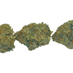 Purple Biscotti - AAAA - Image 3