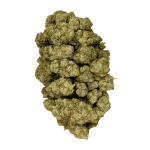 Silver Kush - Craft Cannabis - Image 4