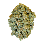 White Fire OG - AAA (1/4 LB - 2 LB) - Image 4