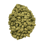 Ghost OG - Popcorn (1/4 LB - 2 LB) - Image 4
