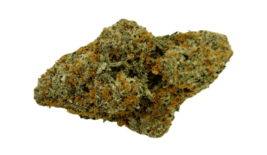 Blue Gushers - AAAA