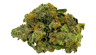 Master Kush - AAA