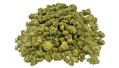 Donkey Butter (Crop #2) - Popcorn