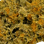 Nebula - AAA - Image 2
