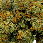 Pink Runtz - AAAA - Image 2