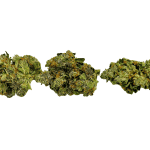 Master Kush - AAA - Image 3