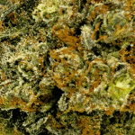 Diablo Death Bubba - Craft Cannabis - Image 2