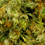 Hindu Kush - AAA - Image 2