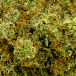 Blue Cheese - AAAA (1/4 LB - 2 LB) - Image 2