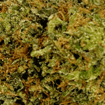 Cherry Runtz - AAAA (1/4 LB - 2 LB) - Image 2