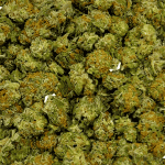 Blue Cheese - Popcorn (1/4 LB - 2 LB) - Image 2