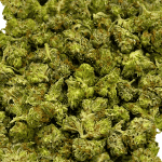 OG - Popcorn - Image 2