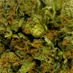 Dolato - AAAA (1/4 LB - 2 LB) - Image 2