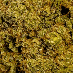 Sherblato - AAA (1/4 LB - 2 LB) - Image 2