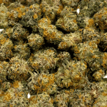 Platinum Cookies - Popcorn - Image 2