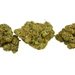 Rockstar Tuna- Craft Cannabis (1/4 LB - 1 LB) - Image 3
