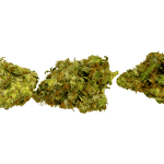 Hindu Kush - AAA - Image 3