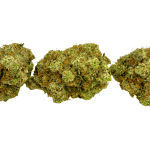 Blue Cheese - AAAA - Image 3