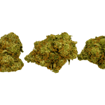 Sour Amnesia - AAAA (1/4 LB - 2 LB) - Image 3