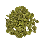OG - Popcorn - Image 3
