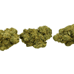 Donkey Butter (Crop #3) - Craft Cannabis (1/4 LB - 1 LB) - Image 3