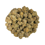 White Truffle - AAAA - Image 4