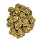 Blue Cheese - AAAA - Image 4