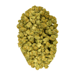 Blue Cheese - Popcorn - Image 4