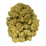 Donkey Butter (Crop #2) - Craft Cannabis - Image 4