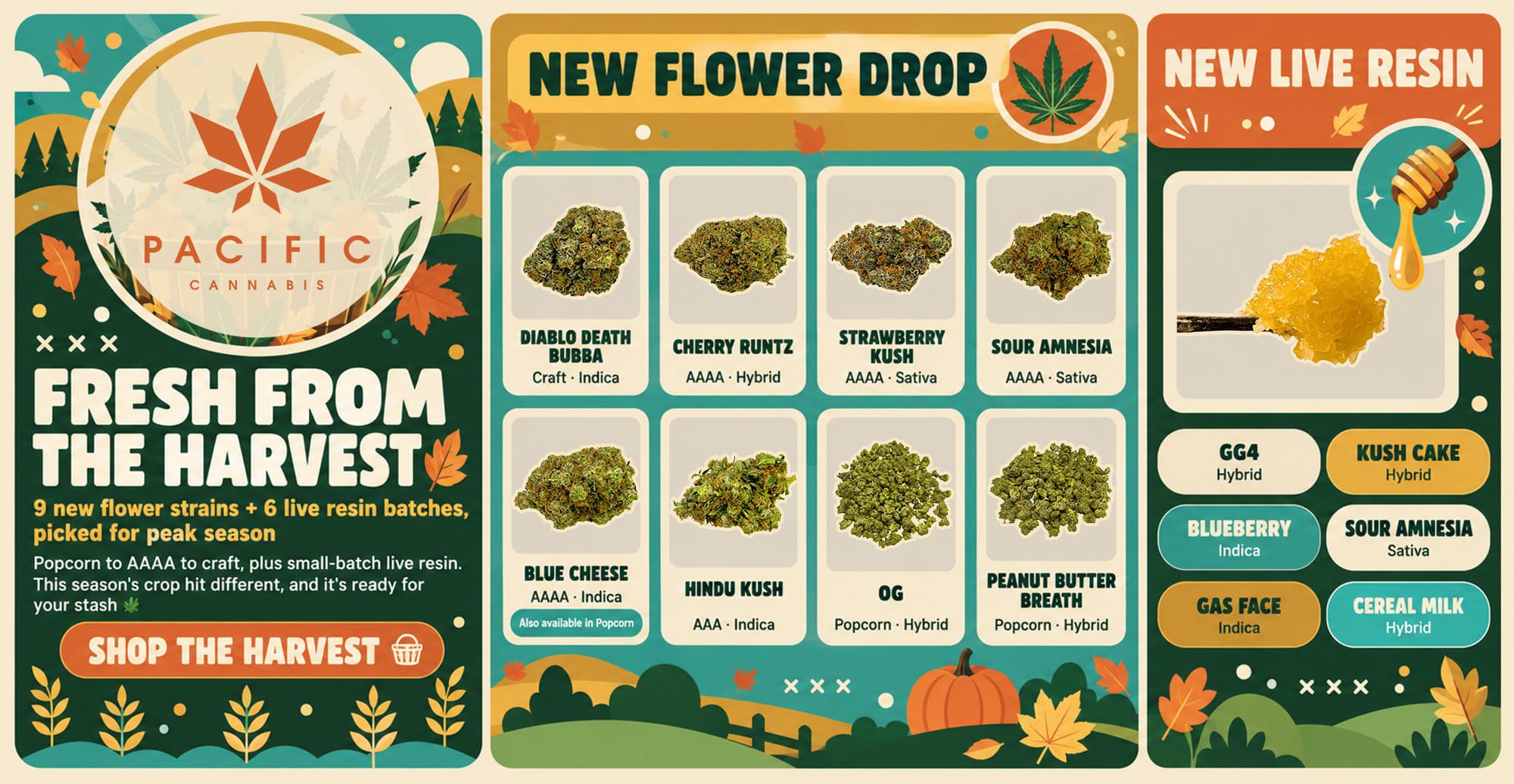FallHarvestDrop_PacificCannabis (1)