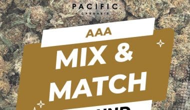 AAA Flower - Mix & Match - 1 LB (1/4 LB x 4)