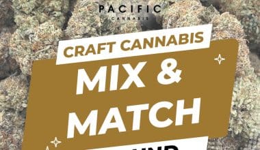 Craft Cannabis Flower - Mix & Match - 1 LB (1/4 LB x 4)